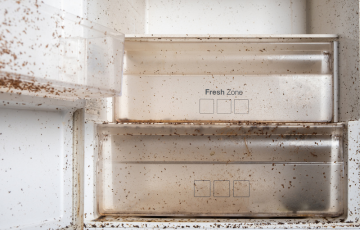 Before image of matters