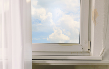 Before image of matters